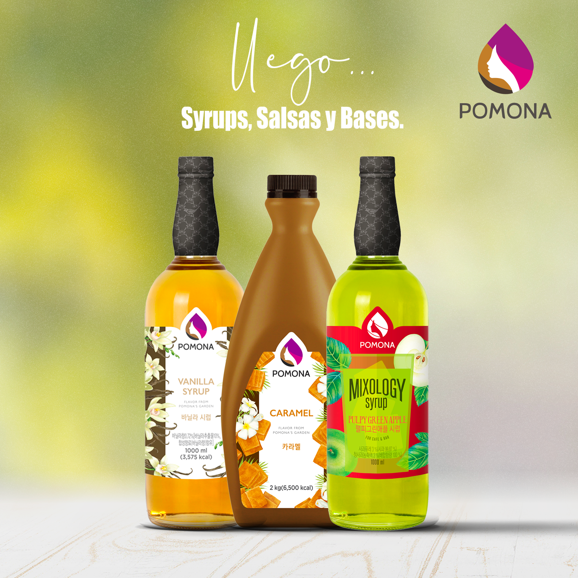 Syrup y Bases Coreano Pomona – Alimenticia